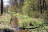 Krakowiany-wiosna.jpg